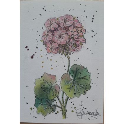 Pelargonia Akwarela, Ewelina Gruszecka, obrazy akwarela