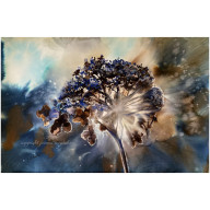 WYGRANA 30 CM X 40 CM