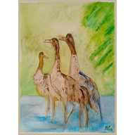 ŻURAWIE, AKWARELA  240X320 MM