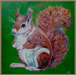 Wiewiórka, akryl 30X30 cm.
