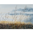 Akwarela Akwarelka Obraz pt. Marzenie 24 x 18 cm