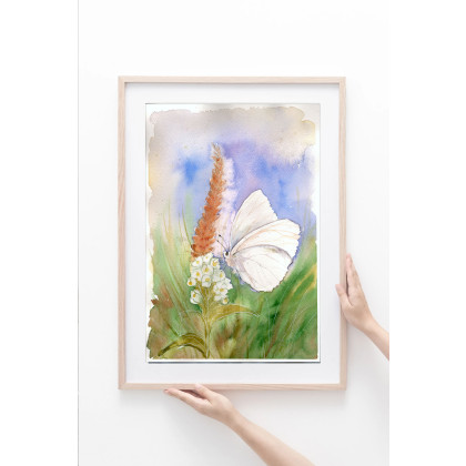 Akwarela A4. Bielinek kapustnik, Małgorzata Domańska ART, obrazy akwarela