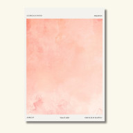 PLAKAT APRICOT. VIVA LA SOLE. 50X70 CM