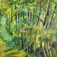 LESNE ZACISZE