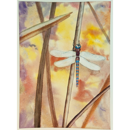 Beata Rudecka - obrazy akwarela - Akwarela Akwarelka Obraz pt. Inny Świat 26 x19 cm foto #3