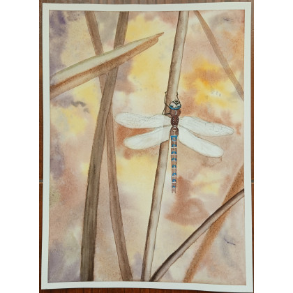 Beata Rudecka - obrazy akwarela - Akwarela Akwarelka Obraz pt. Inny Świat 26 x19 cm foto #4