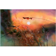 Ochrona 60 cm x 90 cm
