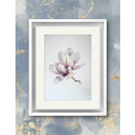 Akwarela A4 Magnolia biała