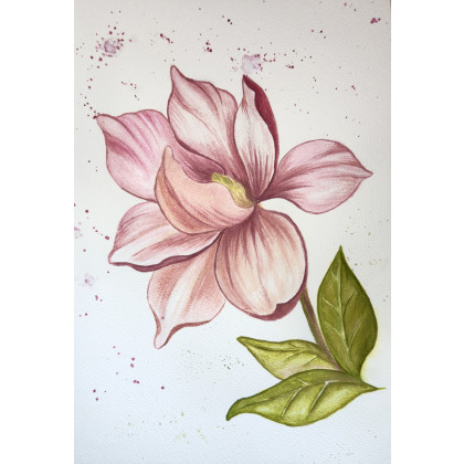 Yunona Kucherevska - obrazy akwarela - Akwarela A4 Magnolia różowa foto #1
