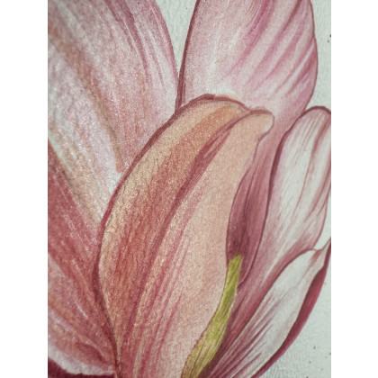 Yunona Kucherevska - obrazy akwarela - Akwarela A4 Magnolia różowa foto #2