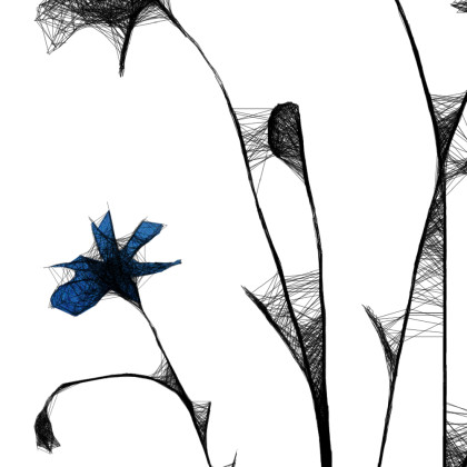 Maja Gajewska - grafika tech. mieszana - Grafika z ramą - nr 125 - chabry foto #2