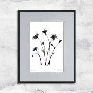 GRAFIKA Z RAMĄ - NR 125 - CHABRY
