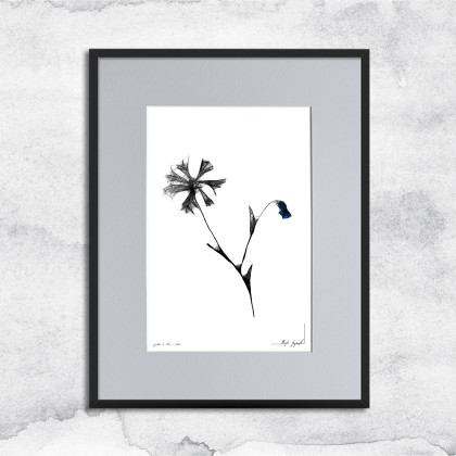 Grafika z ramą - nr 126 - chabry, Maja Gajewska, grafika tech. mieszana