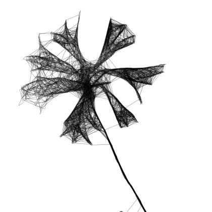 Maja Gajewska - grafika tech. mieszana - Grafika z ramą - nr 126 - chabry foto #3