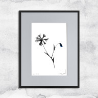 GRAFIKA Z RAMĄ - NR 126 - CHABRY