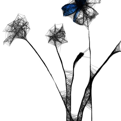 Maja Gajewska - grafika tech. mieszana - Grafika z ramą - nr 124 - chabry foto #3