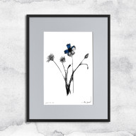 GRAFIKA Z RAMĄ - NR 124 - CHABRY