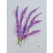 Akwarela Akwarelka Obraz pt. Szałwia, rozmiar: 24 x 18 cm,