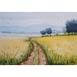 Akwarela Akwarelka Obraz pt. Sielsko.   21 x 15 cm
