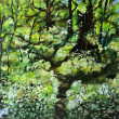 Natura