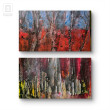 Kompozycja pt. Red woods, akryl, płótno,  100x70x2cm