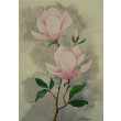 Akwarela Akwarelka Obraz pt. Magnolie.