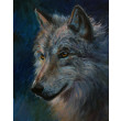 Wilk