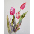 Tulipany -  akwarela formatu 32/24 cm