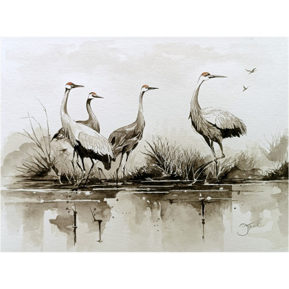 Żurawie z królestwa wiatru, Akwarela 24x32 cm, Joanna Tomczyk, obrazy akwarela