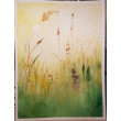 Słoneczna łąka -  akwarela formatu 32/24 cm