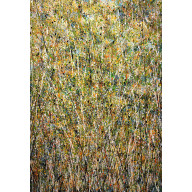 Field full of herbs