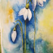 Kwiaty-  akwarela formatu 40/30 cm