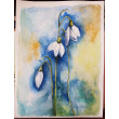 Kwiaty-  akwarela formatu 40/30 cm