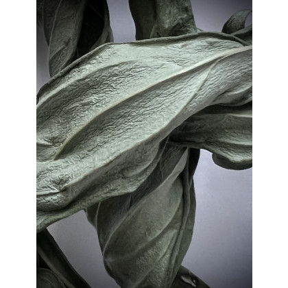 Dominika Truszczyńska - fotografia artystyczna - z cyklu: ...niespiesznie umierając foto #1
