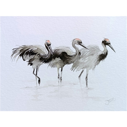 Żurawie, Akwarela 24x32 cm, Joanna Tomczyk, obrazy akwarela