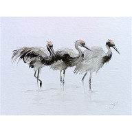 ŻURAWIE, AKWARELA 24X32 CM