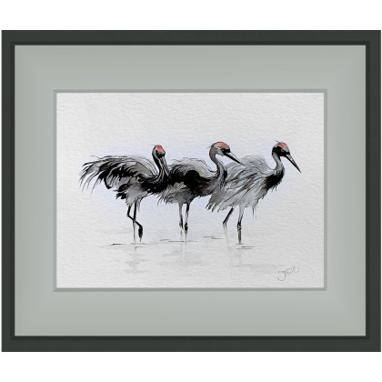 Joanna Tomczyk - obrazy akwarela - Żurawie, Akwarela 24x32 cm foto #4