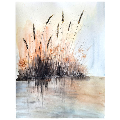 Akwarela 36x48cm. Szuwary, Małgorzata Domańska ART, obrazy akwarela