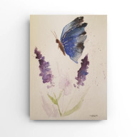 Motyl - akwarela A4