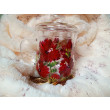 Szklany kubek z zaparzaczem hibiskus ręcznie malowany 370 ml.