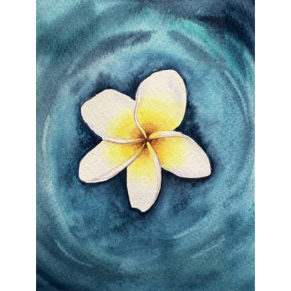 Yunona Kucherevska - obrazy akwarela - Akwarela A5 Kwiat Frangipani foto #1