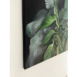 Martwa natura