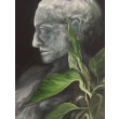 Martwa natura