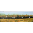 Obraz akrylowy na płótnie,  120x40x2cm. PODLASKIE GRANICE