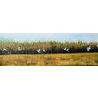 Obraz akrylowy na płótnie,  120x40x2cm. PODLASKIE GRANICE