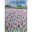 Akwarela- Pole tulipanow