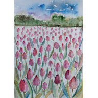 Akwarela- Pole tulipanow