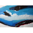 Shark 80x100