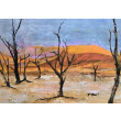 Namibia,  obraz akrylowy na płótnie 70x50x2 cm