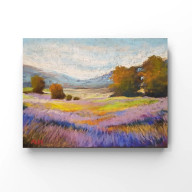 LAWENDOWE POLE - RYSUNEK PASTELAMI